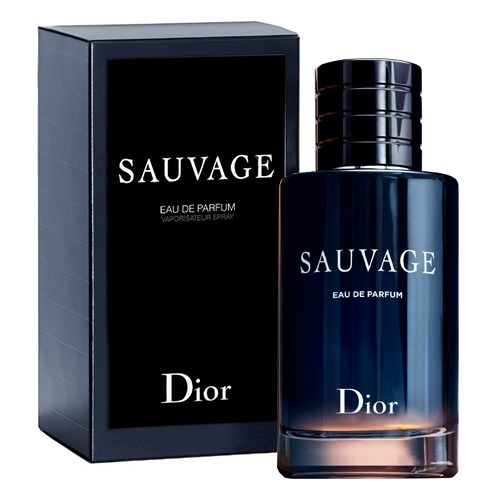 christian dior ادو پرفیوم دیور ساواج مردانه