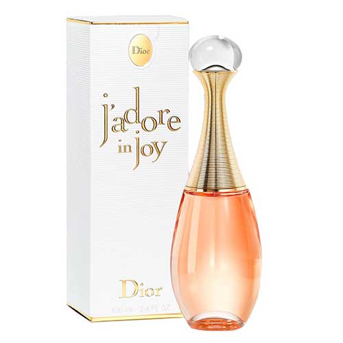 christian dior دیور جادور این جوی